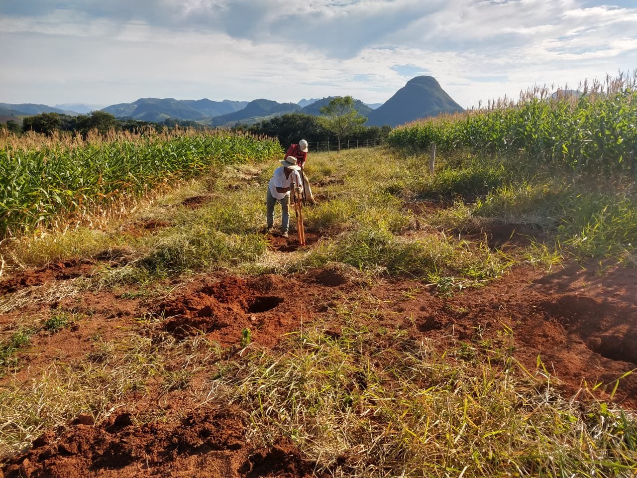 Projeto Conexão Mata Atlântica