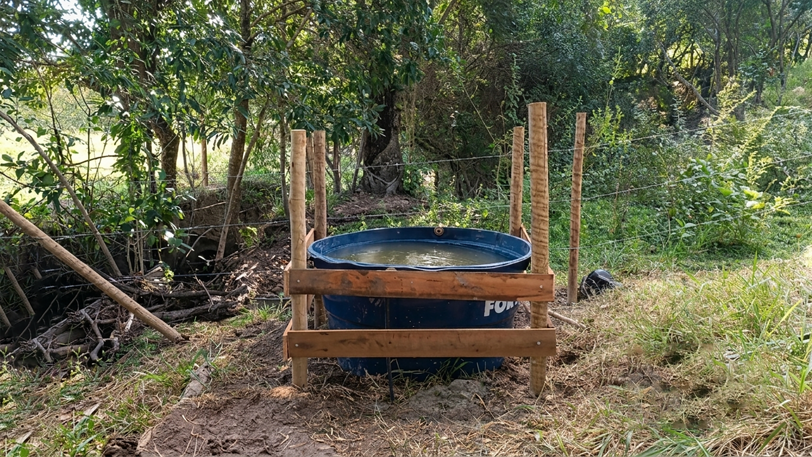 Plantio realizado no projeto Conexão Mata Atlântica